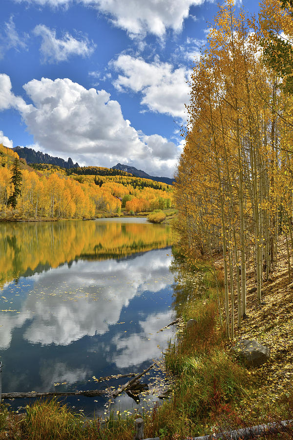 Colorado Fall Color Reflections Photograph by Ray Mathis