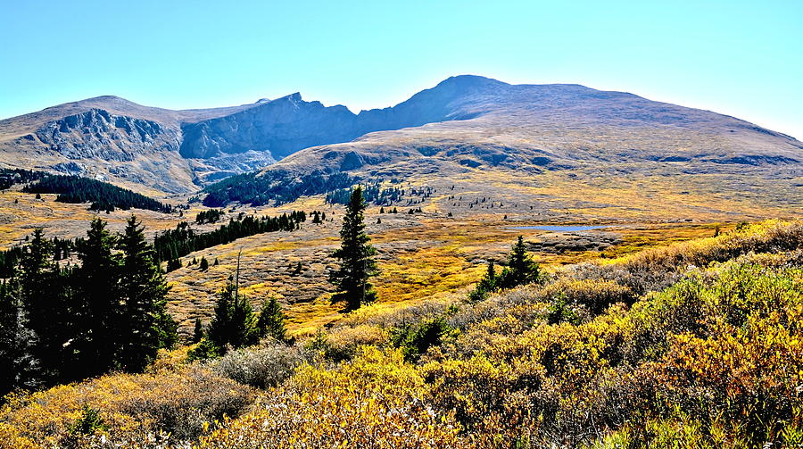 Colorado Fall Mountain Colors Photograph by Amy McDaniel