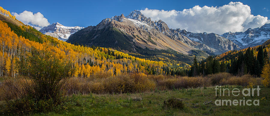 Colorado Fall Photograph by Steven Reed