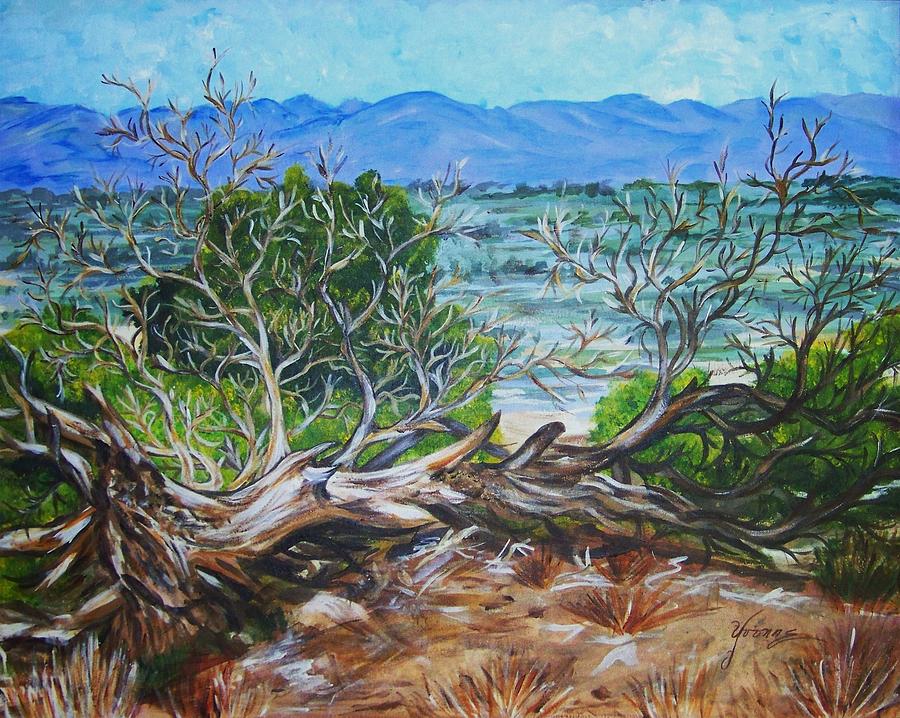 Colorado Fallen Tree Painting by Yvonne Kinney - Fine Art America