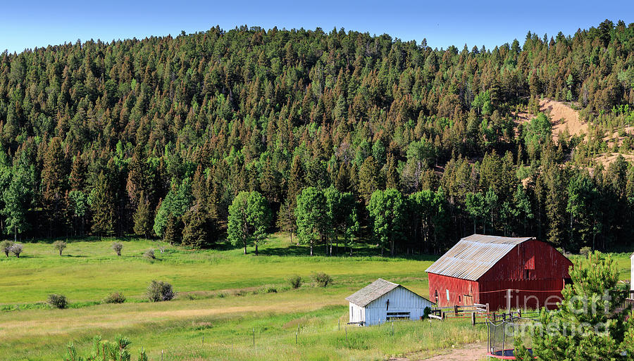 Colorado Farm Scene Photograph by Richard Smith