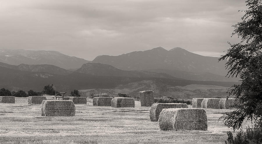 Colorado Farming Panorama View in Black and White Pt 2 Photograph by James BO Insogna