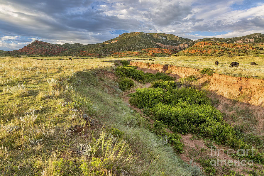 Colorado foothills at sunset Photograph by Marek Uliasz