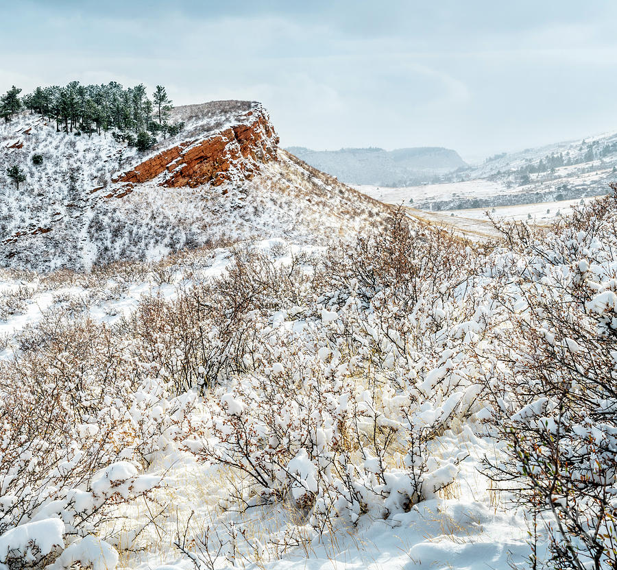 Colorado foothills in fresh snow Photograph by Marek Uliasz