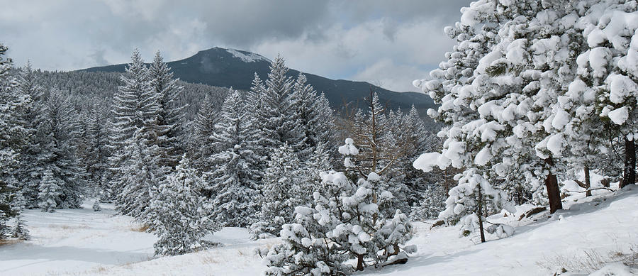 Colorado Foothills Winter Panorama Photograph