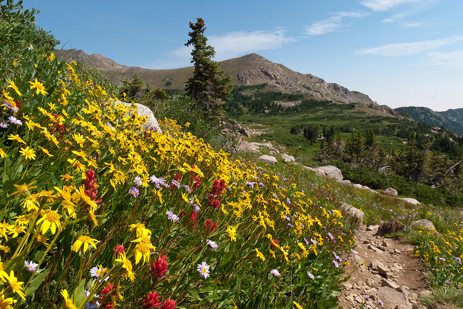Colorado Front Range Landscape Photograph by Cascade Colors Colorado Front Range Landscape Photograph by Cascade Colors