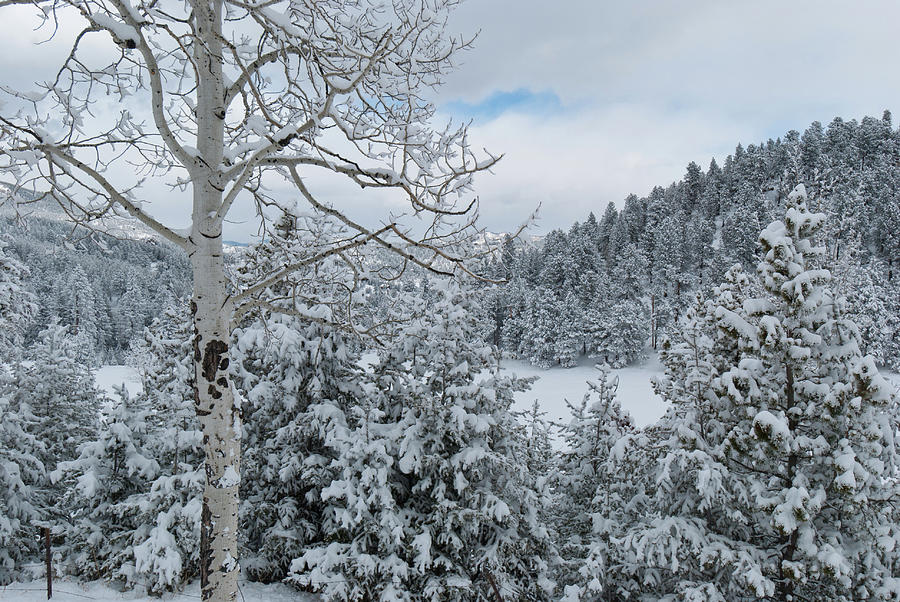 Colorado Front Range Winter Beauty Photograph by Cascade Colors