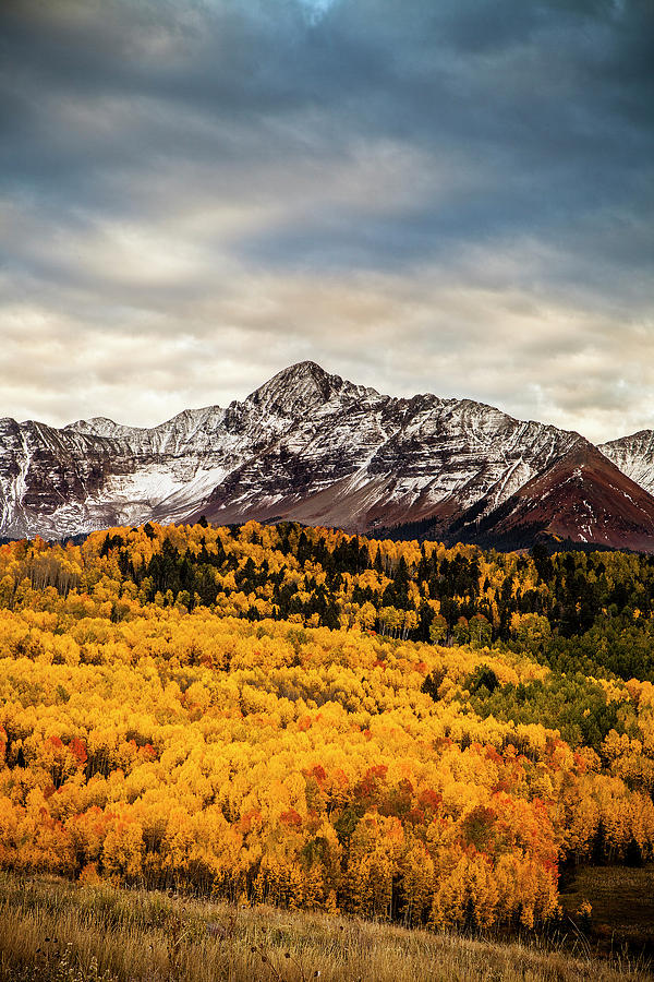 Colorado Gold Photograph by Andrew Soundarajan