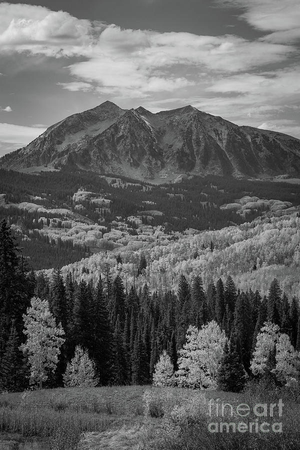 Mountain Photograph - Colorado Gold Portrait BW by Michael Ver Sprill