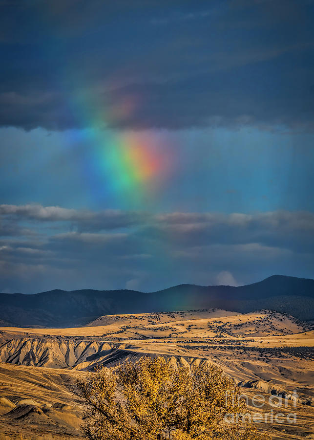 Colorado Iridescent Sky Photograph by Janice Pariza