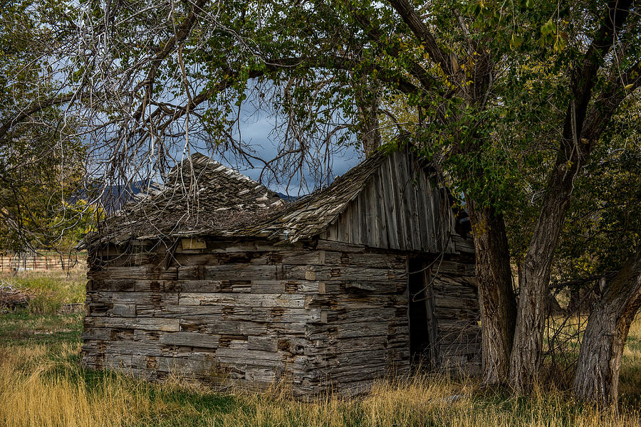 Colorado Log Cabin Photograph by Paul Freidlund