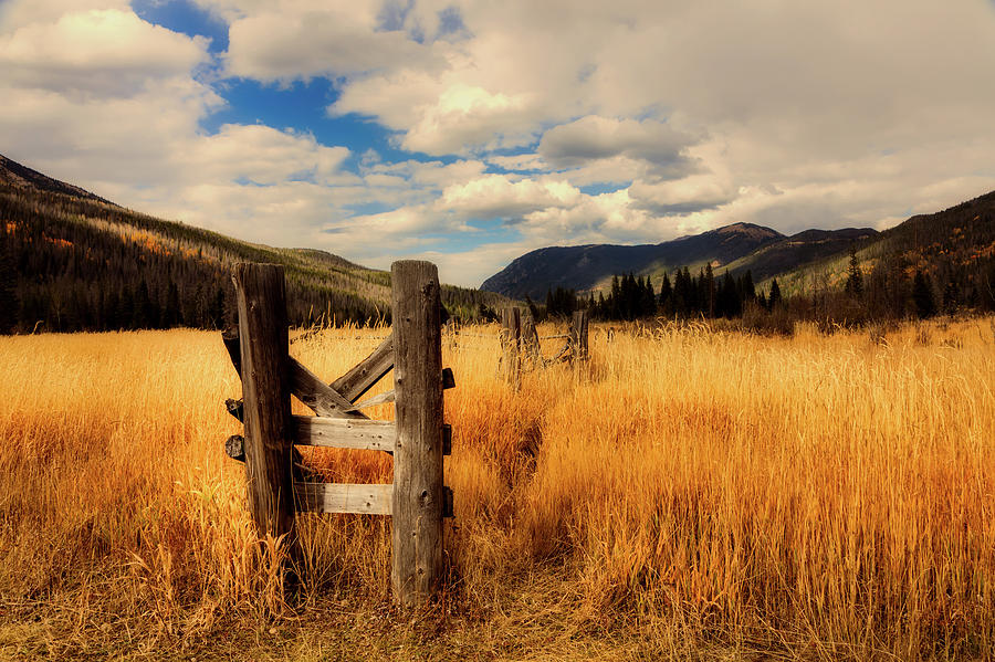 Rocky Mountain National Park Photograph - Colorado Meadow by Mountain Dreams