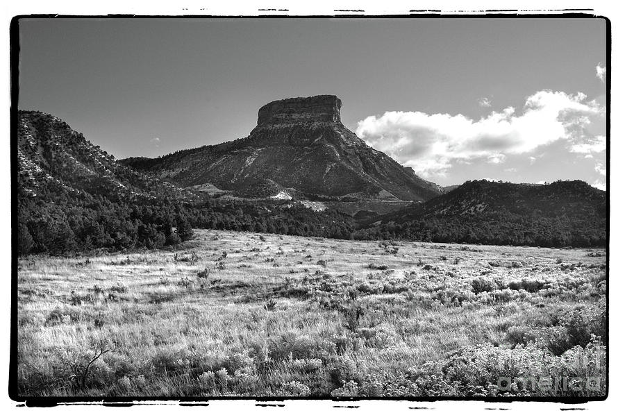 Colorado mesa Photograph by Michael Ziegler - Fine Art America