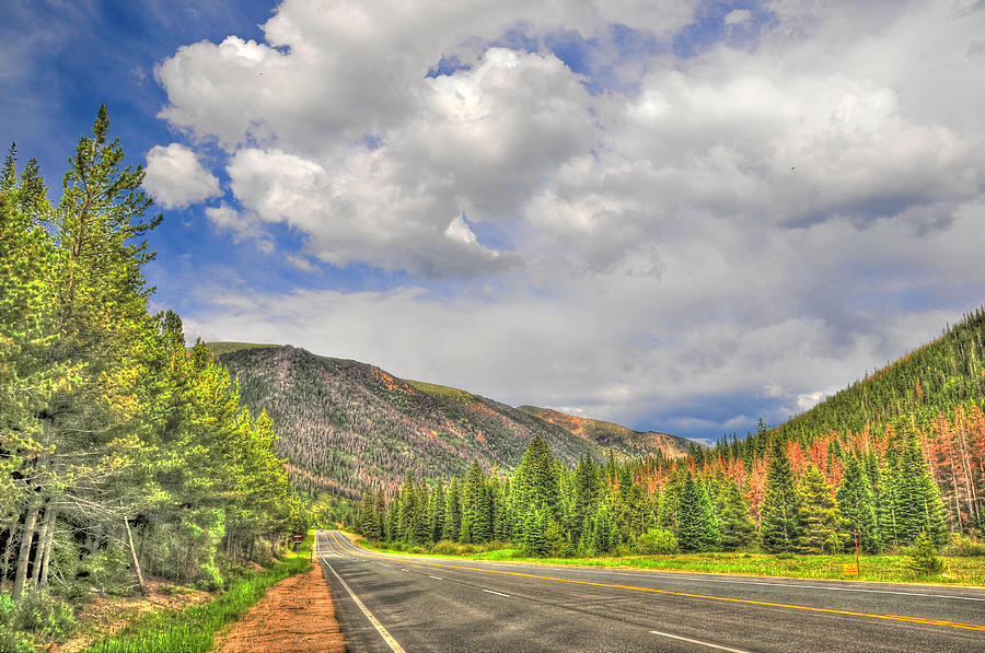 Colorado Mountain Roadside Photograph By Randy Aveille