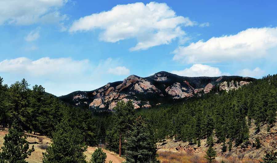 Colorado Mountains Photograph by Angelina Tamez