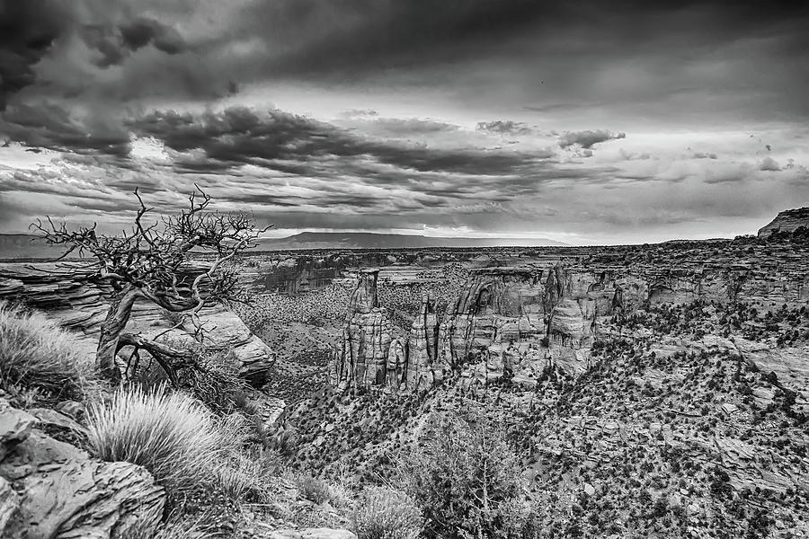 Colorado National Monument In Black And White Photograph