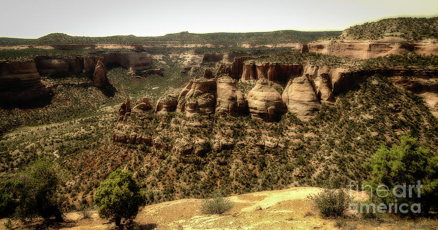 Colorado National Monument Koch Ovens Photograph by Jon Burch Photography
