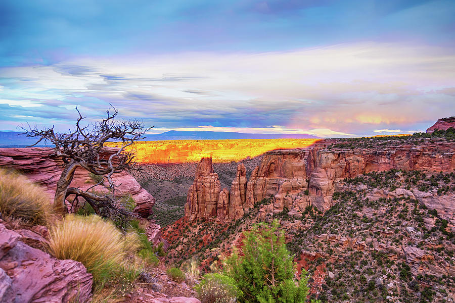 Colorado National Monument Timed Stack Photograph by James BO Insogna