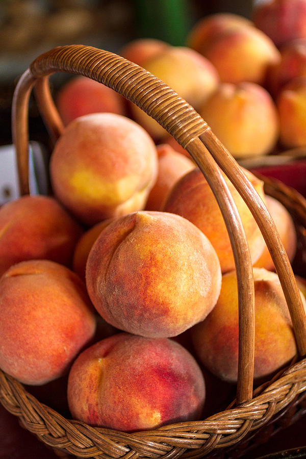 Colorado Peaches in Basket Photograph by Teri Virbickis