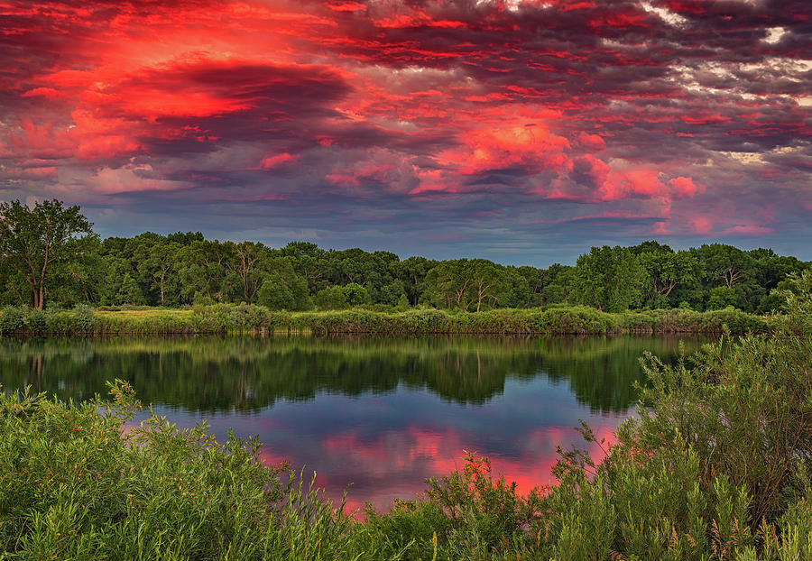 Sunset Photograph - Colorado Ponds Sunset by Darren White