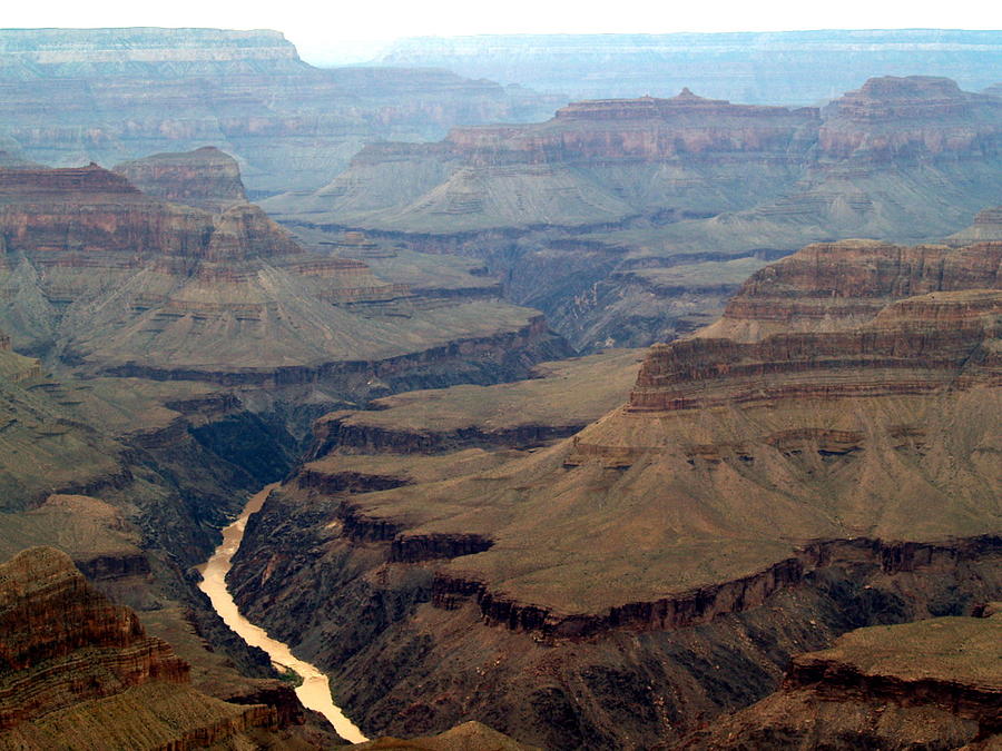 Grand Canyon National Park Photograph - Colorado River by Carrie Putz