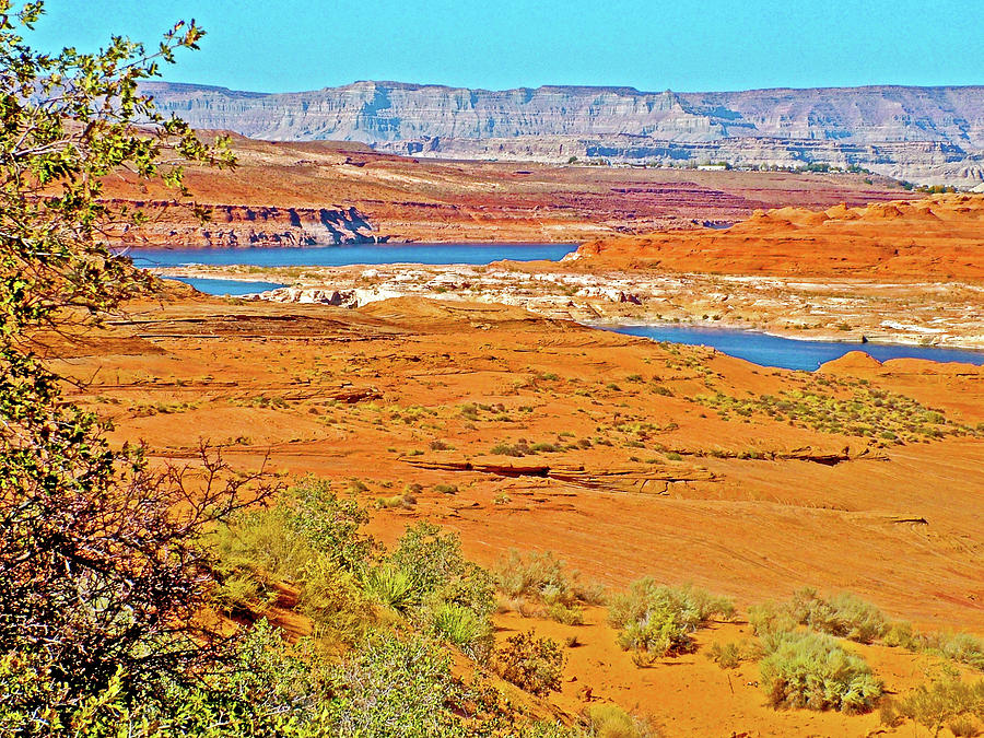 Colorado River from Hanging Gardens Trail in Glen Canyon National Recreation Area-Arizona  Photograph by Ruth Hager