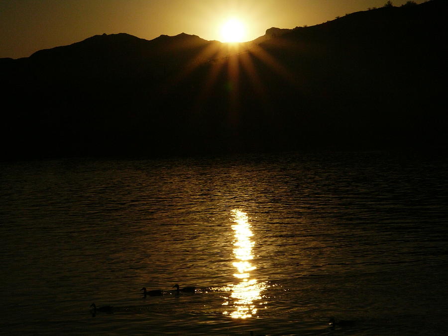 Colorado River Sunrise Photograph by Kareem Farooq