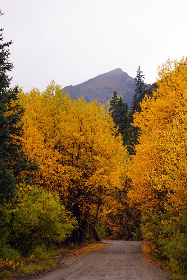 Mountain Photograph - Colorado Road by Marty Koch