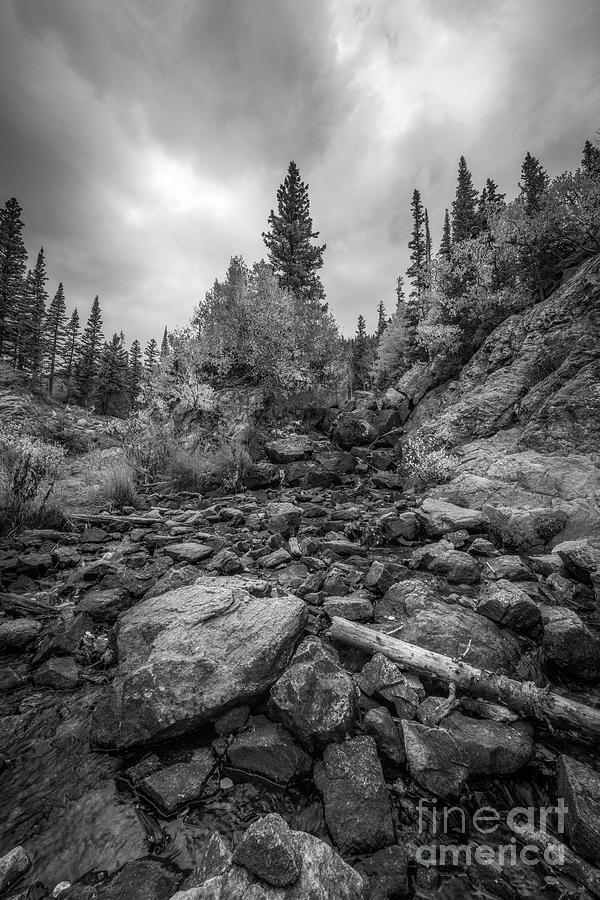 Colorado Rockies BW Photograph by Michael Ver Sprill