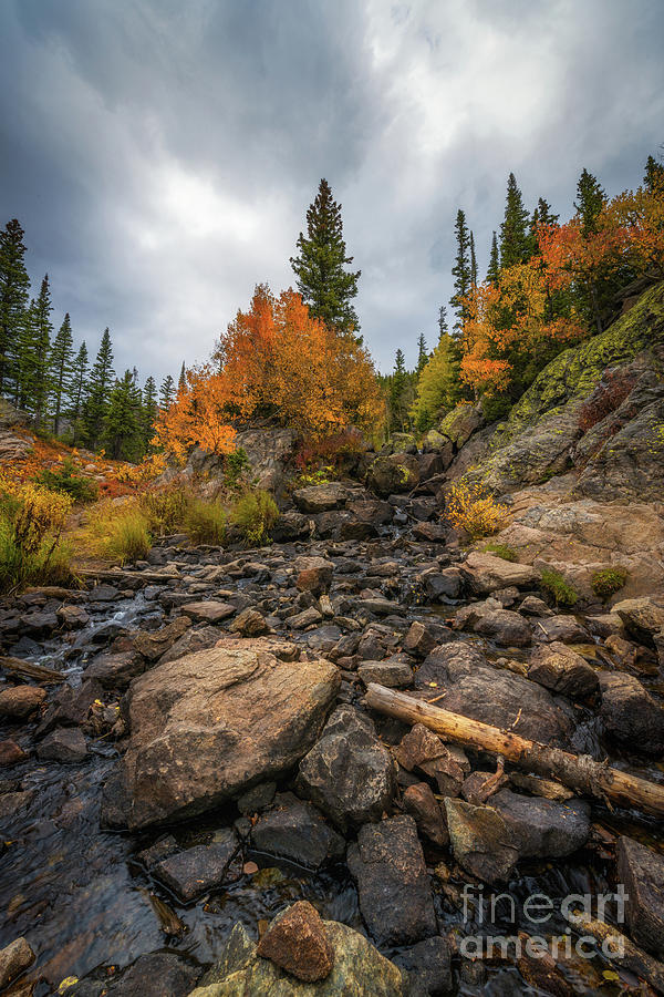 Colorado Rockies  Photograph by Michael Ver Sprill