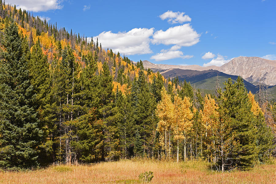 Colorado Rockies National Park Fall Foliage 2 Photograph by Toby McGuire
