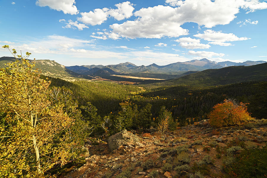 Tree Photograph - Colorado Rockies National Park Fall Foliage Forest Valley by Toby McGuire