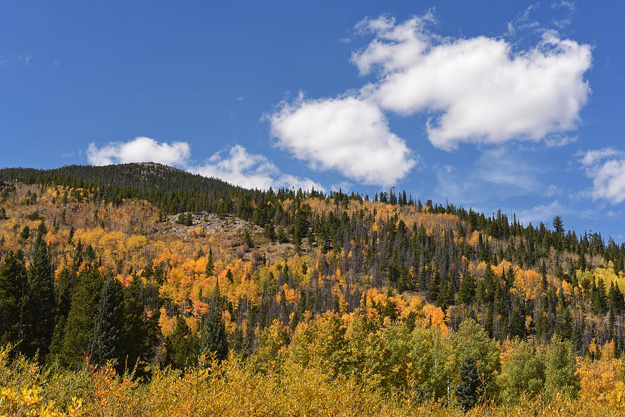 Colorado Rockies National Park Fall Foliage Photograph by Toby McGuire