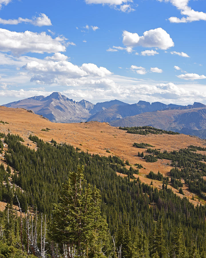 Colorado Rockies National Park Forestland Photograph by Toby McGuire