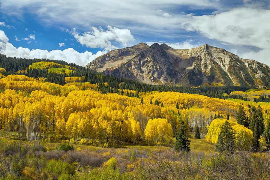 Colorado Rocky Mountain Fall Foliage Photograph