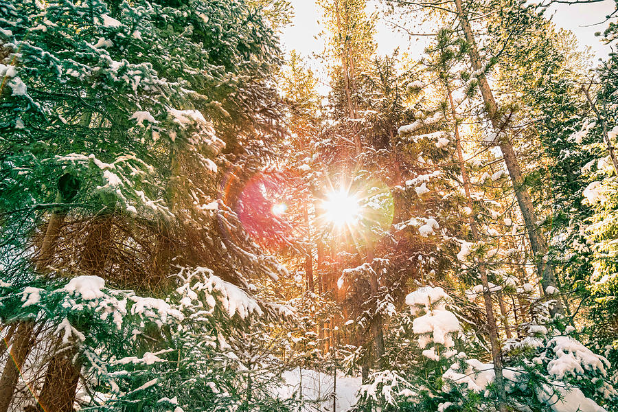 Colorado Rocky Mountain Snow and Sunshine Photograph by James BO Insogna