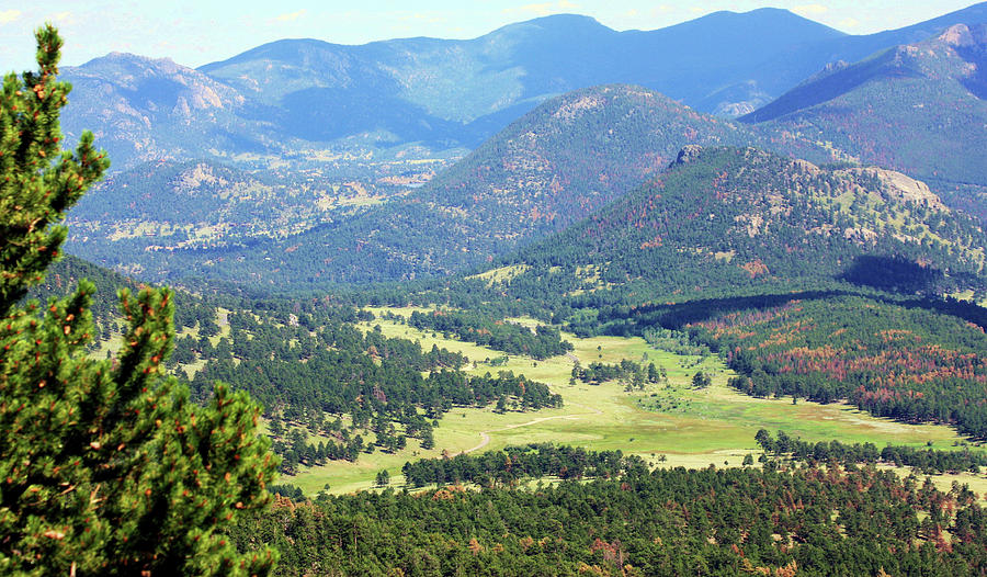 Colorado Rocky Mountain View Photograph by Sheila Brown