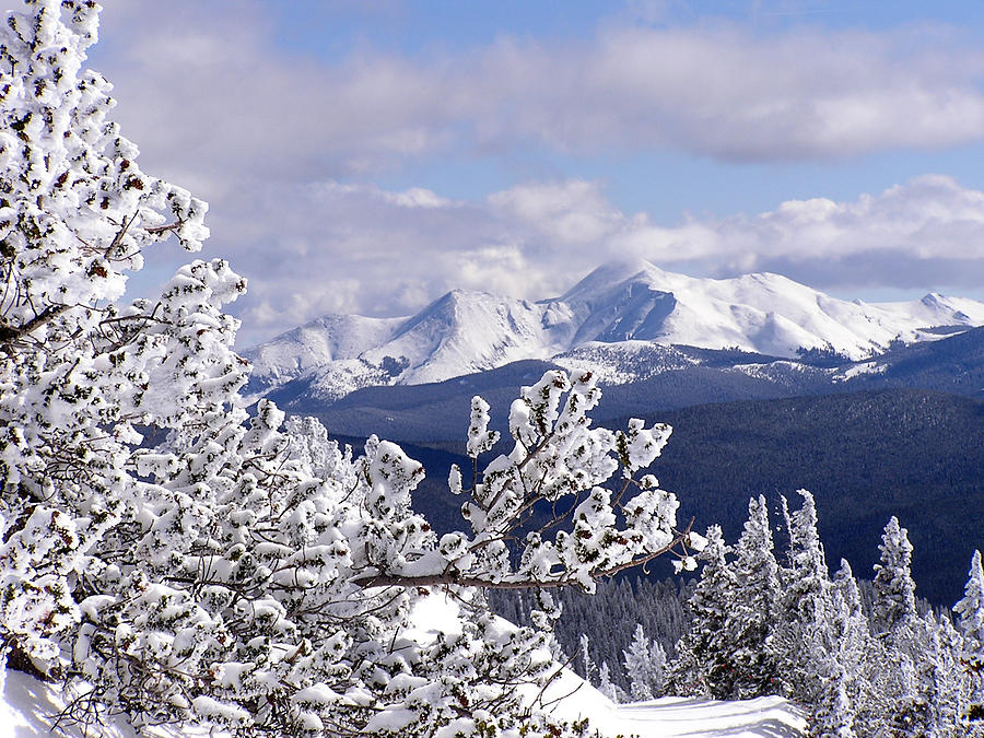 Colorado Sawatch Mountain Range Photograph by Carol Milisen