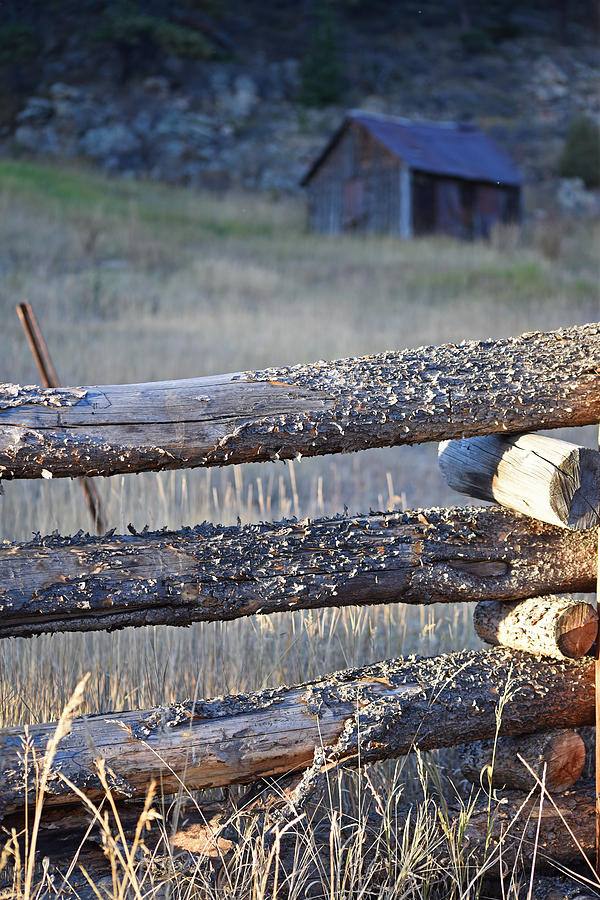 Colorado Shack wooden fence Photograph by Toby McGuire