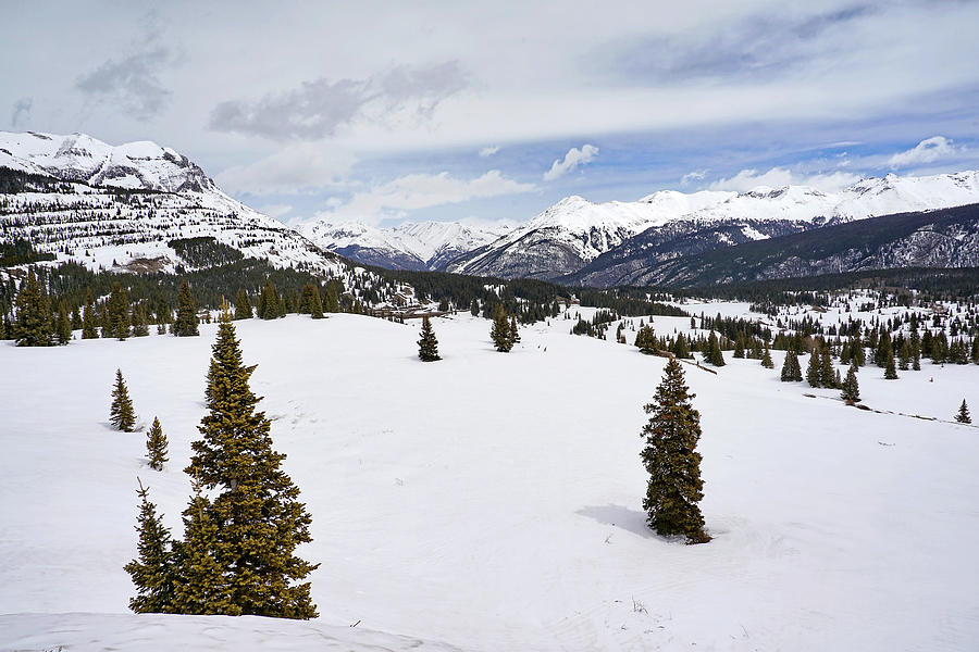 Colorado Snow Scene Photograph by Leda Robertson