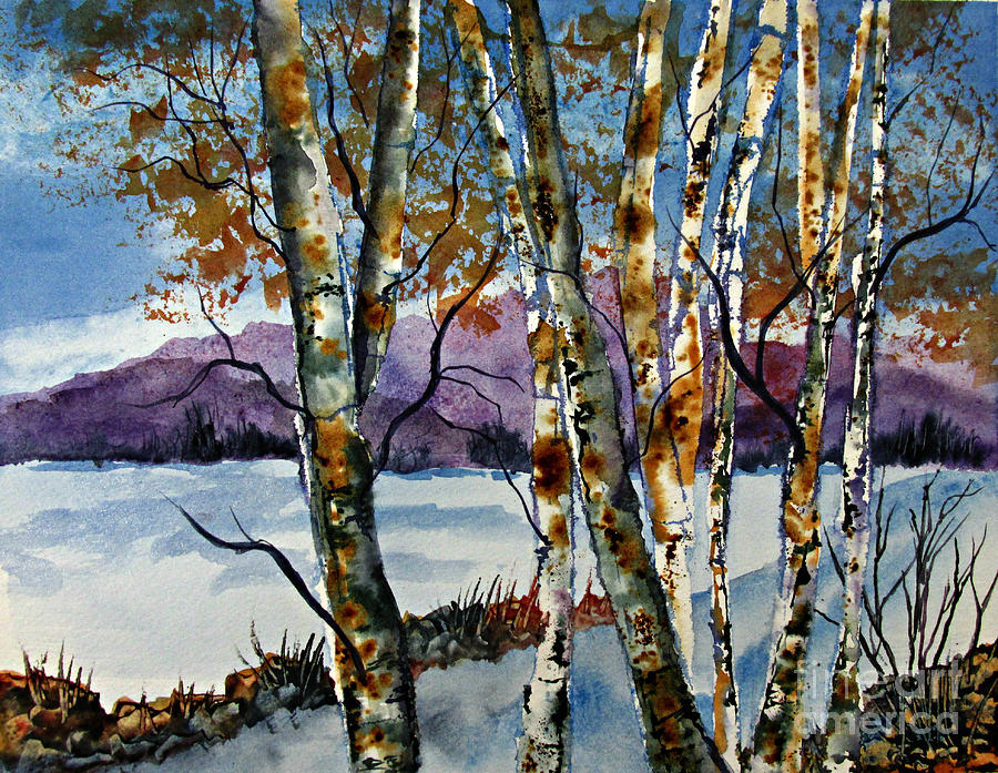 Colorado Snowfall Painting by Janet Cruickshank