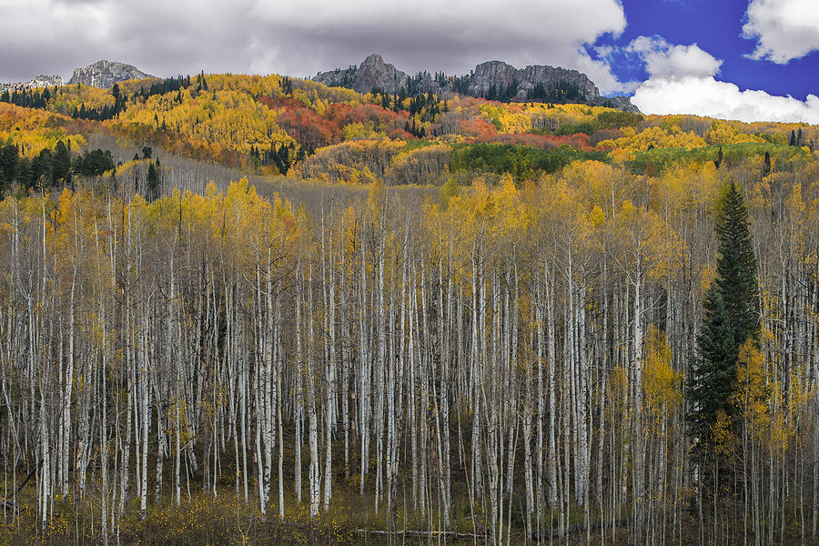 Colorado Splendor Photograph by Gary Lengyel