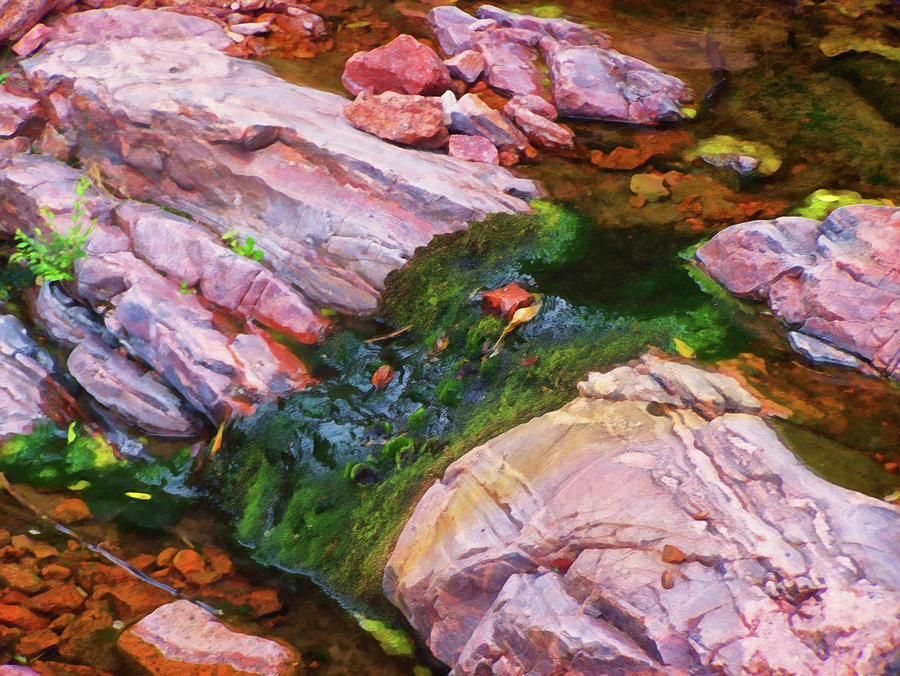 Colorado Springs area Digital Oil #28 Painting by Flees Photos