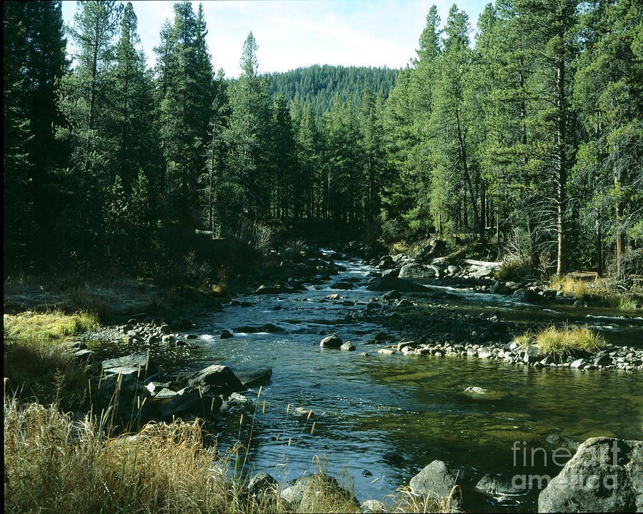 Colorado stream1 Photograph by Rex E Ater