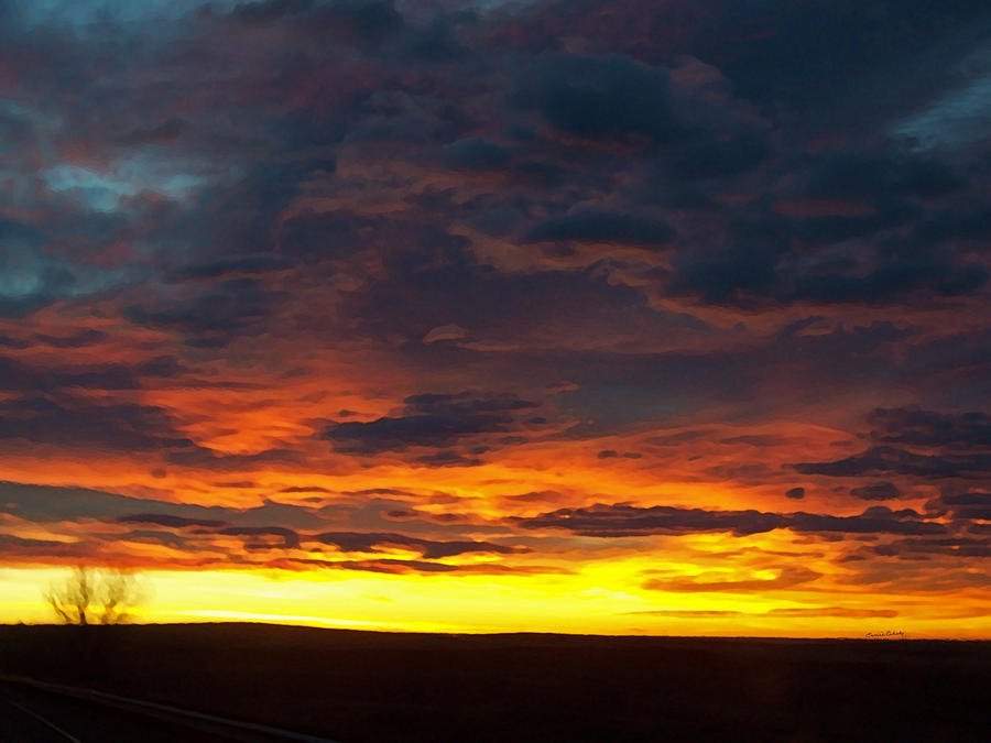 Colorado Sunrise February Photograph by Ernest Echols