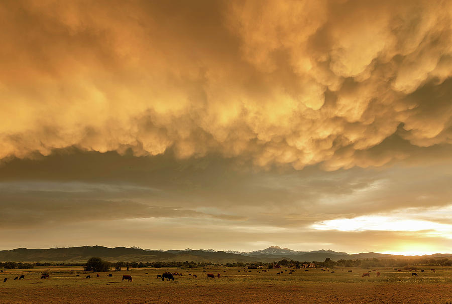 Colorado Sunset Stormin Photograph by James BO Insogna