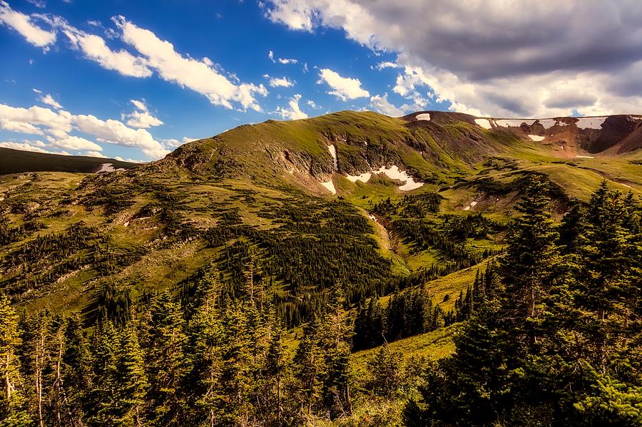 Colorado Timberline Photograph by Mountain Dreams