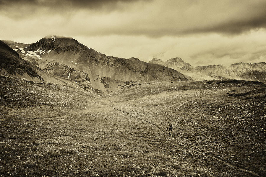 Colorado Trail  Photograph by Whit Richardson