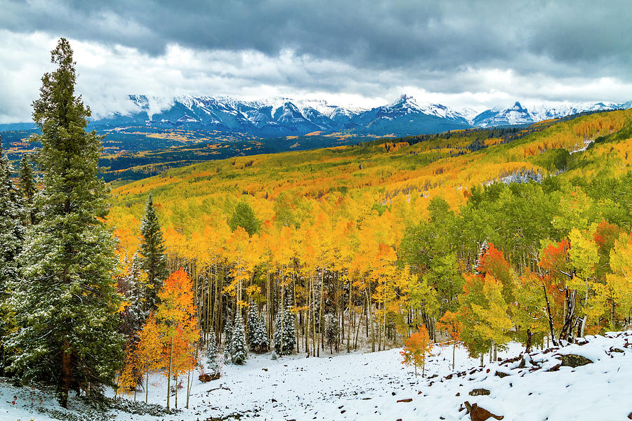 Colorado Valley of Autumn Color Photograph by Teri Virbickis