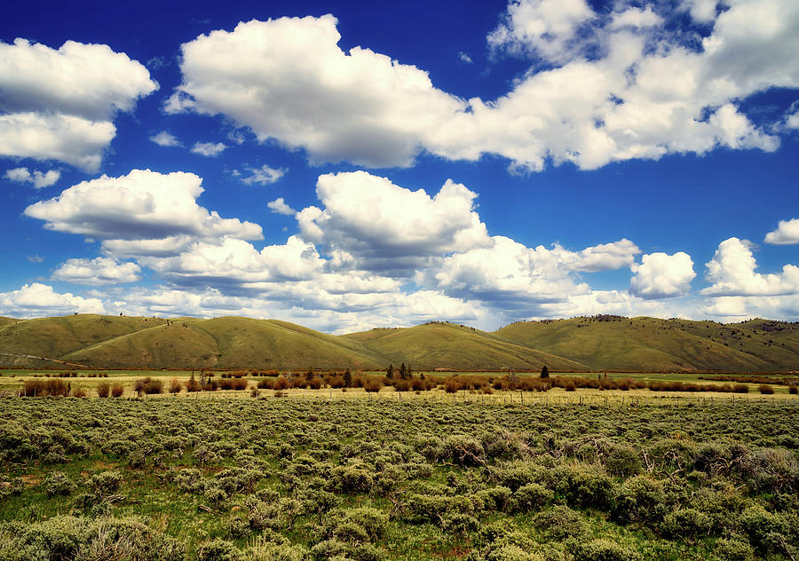Colorado Vista Photograph by Mountain Dreams